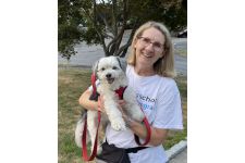 Logo for Amy L. Kremer Logo for Amy L. Kremer