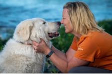 Logo for Angela Schneider Logo for Angela Schneider