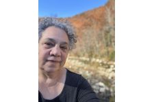 Logo for Dina Stander Logo for Dina Stander