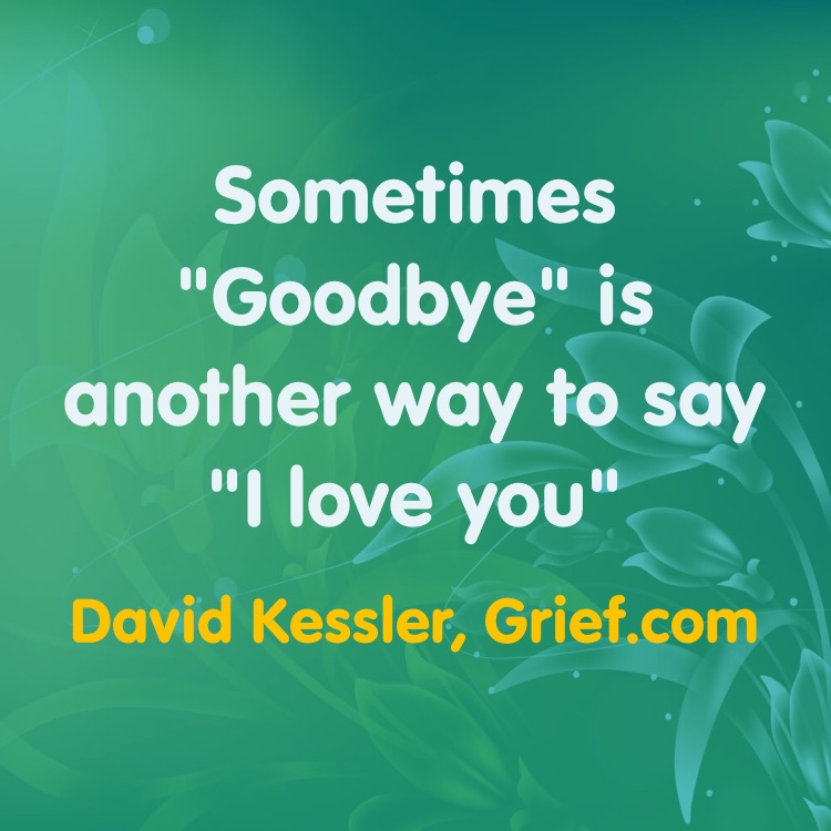 Sometimes “Goodbye” is another way to say “I love you” Grief Quote by David...