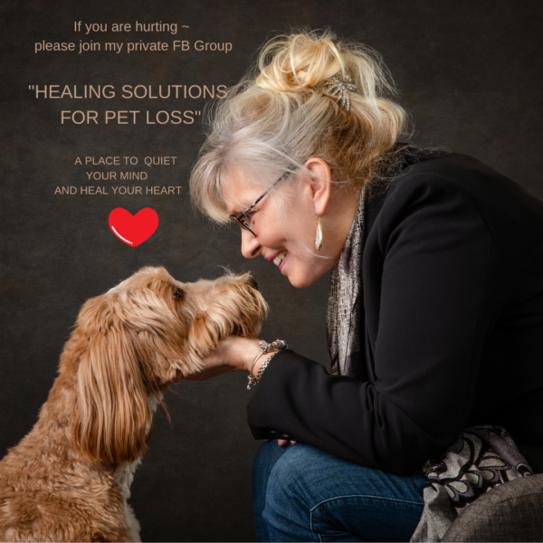 Healing Solutions for Pet Loss